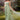 Pearl Pleated Tulle Gown With Cape-4