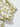 a144f26d562749259f806d88e73ee124-Max-Origin