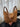 a1c8cadb7cd64d08a0c7b705b7218ad5-Max-Origin