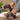 a228e385-0eea-4e30-b423-a43603217c88-Max-Origin