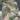 a2c19878-97c8-42d2-bebb-44efd2847048-Max-Origin