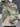 a2c19878-97c8-42d2-bebb-44efd2847048-Max-Origin