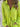 a3a512be-f31a-4afd-b558-b8d2433bc3e4-Max-Origin