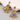 a4498ff9-cb82-4793-8a93-d08550621576-Max-Origin