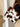 a454bab5-3182-4e7c-b0b6-3ed5944abc14-Max-Origin