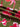 a555e4e6-7a50-4ddd-bd56-e167e0825af2-Max-Origin