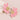 a57280a9-159e-45df-b399-dd642a3564ff-Max-Origin