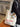 a592629913f24200a44aac68e473a31c-Max-Origin