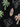 a6cf960c-d5e7-4af9-bdf6-d1c28dbe3f14-Max