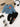 a7e8a49d0def4dac99c75f19804821b2-Max-Origin
