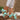 a83d2bdf298f49a197e7cf35259128ae-Max-Origin