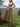 a8bd50b8b52e4807a74cfae2c126a318-Max-Origin