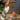 a90b7a66fd9d4a9aadb6a90a550aa8fa-Max-Origin