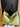 a9e98012-f9df-494c-8283-8ba29f3dfff7-Max-Origin