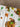 ad87889a473340d790ddff6acb58ea65-Max-Origin