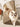 af2fe92f-53ac-4431-88d0-1bd5e4341007-Max-Origin
