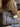 b1e1cee8-790c-4f20-8963-820f5b23a0b4-Max