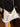 b2edc757-db6b-459f-be67-97cd76241d25-Max-Origin