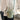 b35f5635-0e1e-4a38-b285-ab710dd249e9-Max-Origin