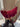 b546f1d4-62c0-470c-bd42-db21beb13b59-Max-Origin