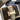 b553d8f8-de6e-4c4f-a489-4489dcc02302-Max-Origin