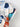 b555d080a26746d283b49bf157a1b4f6-Max-Origin