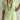 b5deba30-deac-4b8a-ba8f-394c73f17616-Max-Origin