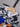 b6175e61c1384894852401761e2463c8-Max-Origin