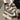 b61aa2ce-8e3f-41fc-89f3-3fc532be5c61-Max-Origin