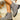 b63d05f167584c38b6e224718cdf0848-Max-Origin