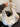 b771e548-b650-4514-bf59-9b5691eb2c08-Max-Origin