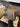 b7c354990d854729aee450d1fca53c48-Max-Origin