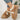 b86c58a8-5aca-4024-b199-8f3320bb140e-Max-Origin