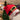 b8ba7780-b9c1-4eca-9bfb-dbcb978a32eb-Max-Origin