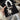 bad89f86-c267-47db-ac56-f5680c537a4f-Max-Origin