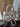 bb293c9c-8f74-4bcb-8631-c14c796851e9-Max-Origin