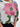 bb5205c6-3e18-4390-8880-3c5840c0d58b-Max-Origin