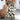 bc726ea43ef24011ab3bc628534dd225-Max-Origin