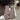 bcac10d7-6736-4322-9e8c-9c4091f4ca16-Max-Origin