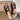 bccb6455-3b8a-46dd-bbfb-10423ebdf361-Max-Origin