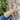 bd1b5dc9-c227-4294-947d-a01c19baa110-Max-Origin