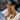 bd2749ae-4f2a-409a-ba19-85fb4feb3c43-Max