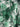 c111c566dca44389996e0cae9d6d4fb4-Max-Origin