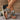 c1703125-0ddf-4ccc-a4be-168b178bd093-Max-Origin