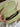 c237eb3173e341c78f1e3209d0096ae5-Max-Origin