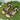 c2c9098d-b04f-4b58-8d8a-62283bfc99e4-Max-Origin