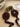 c2df22159802471d806b2b4419a99224-Max-Origin