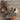 c2f7376513d04a29b6b2d1db3f593ef4-Max-Origin