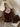 c4c47afc811b4a42aa4f76c6455e46b2-Max-Origin