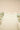 c50c7271-cef1-4c4f-9cd7-638f98e22835-Max